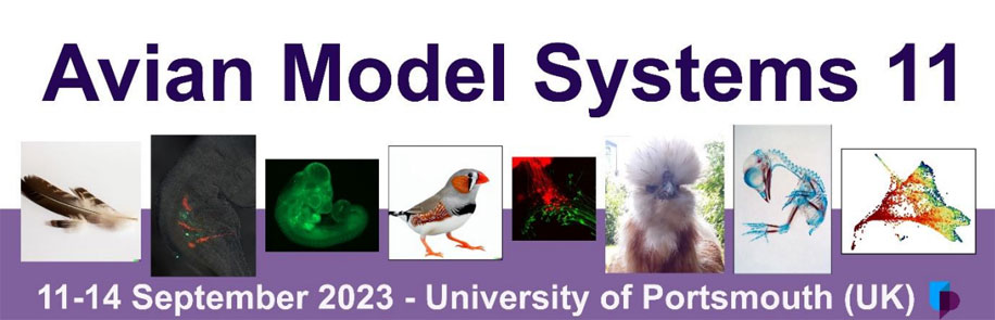 Avian Model Systems  Meeting